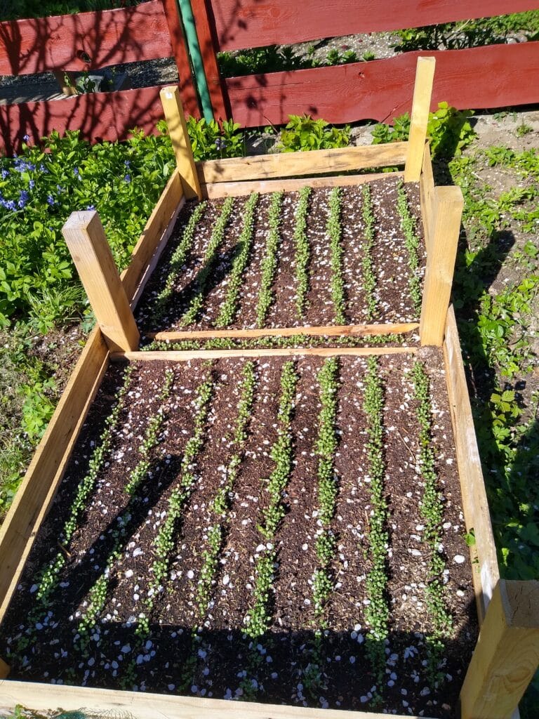 Img 20250426 160449584 hdr