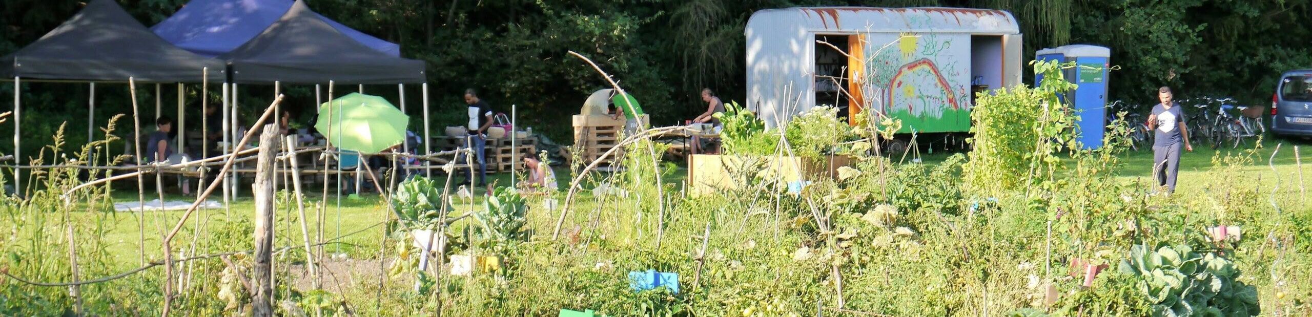 P1060516 2020 10 01 18 38 46 utckl