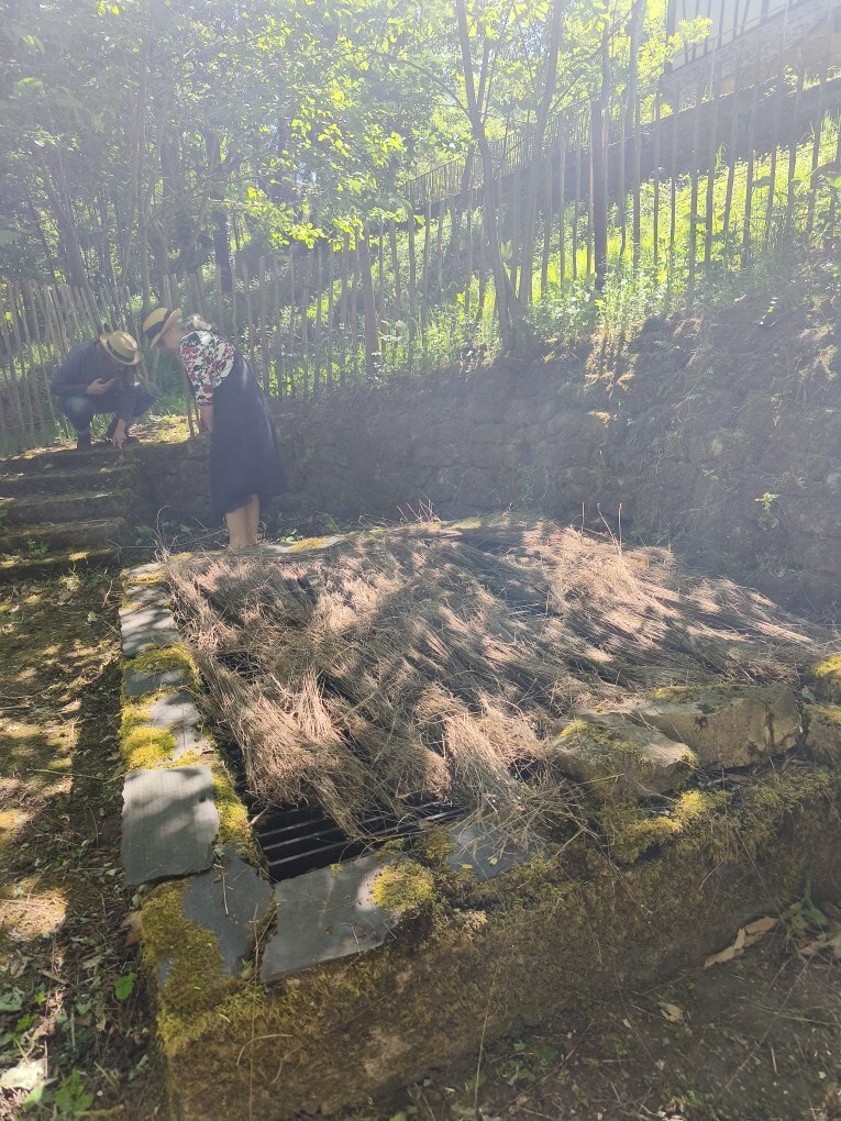 1747229273373