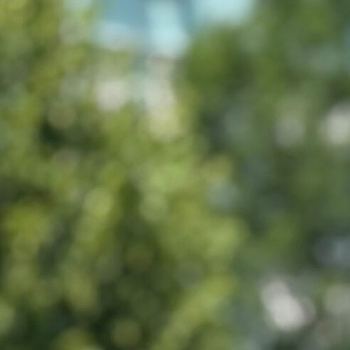 1B45849B 3231 4997 9093 AF039206DE0B