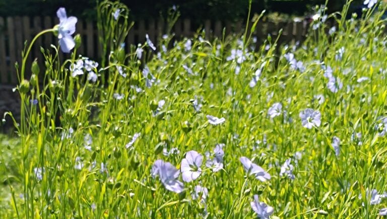 Img 20240617 102155 klein