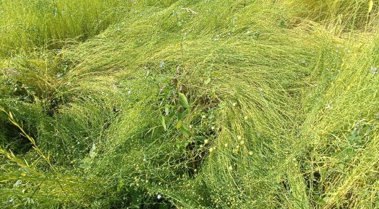 Img 20240710 094953 klein