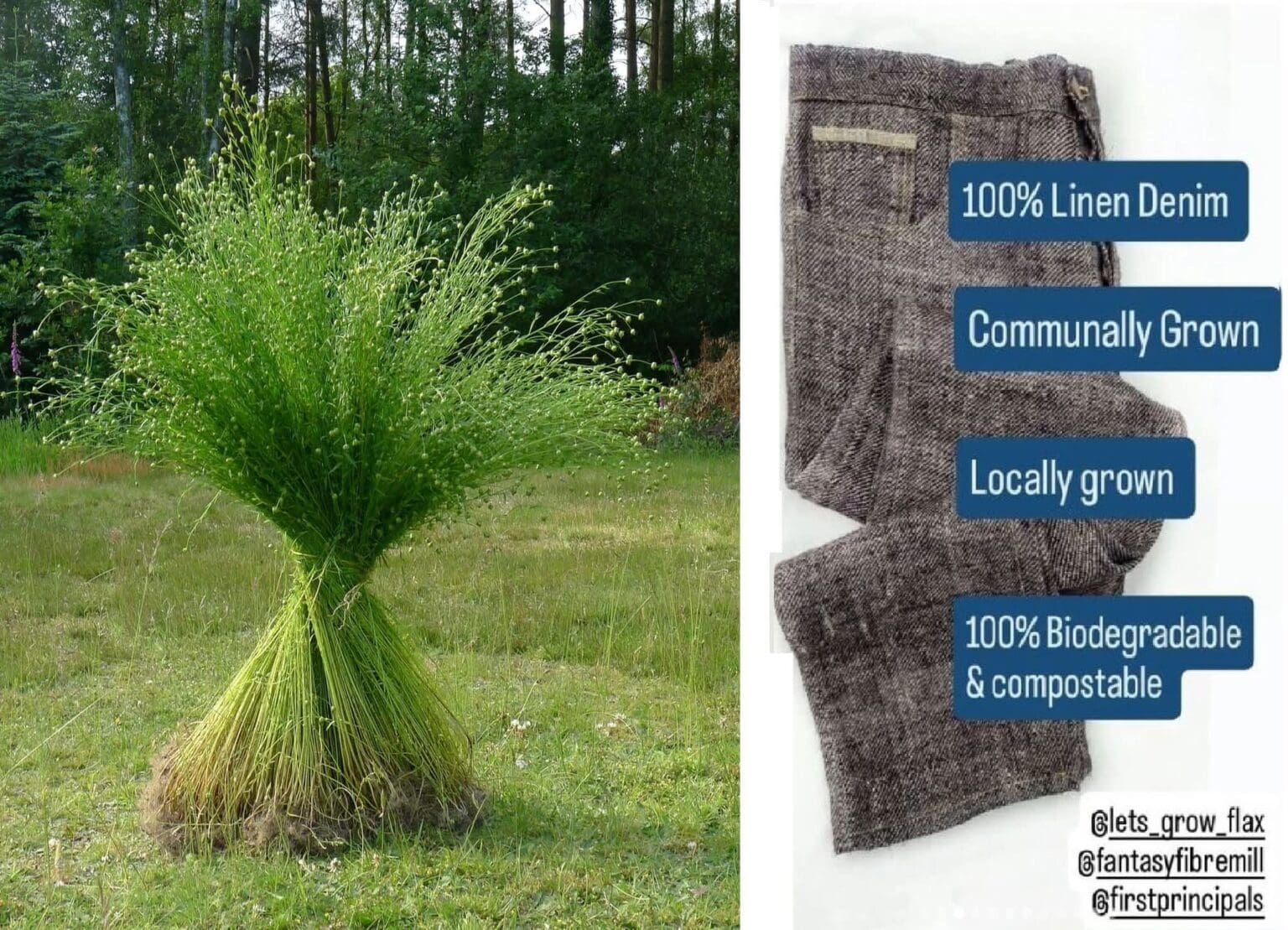 Fb img 1751746145165