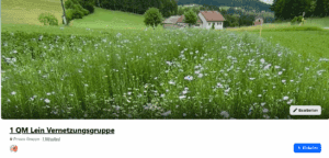 Screenshot 2025 07 07 at 13 21 06 1 qm lein vernetzungsgruppe facebook