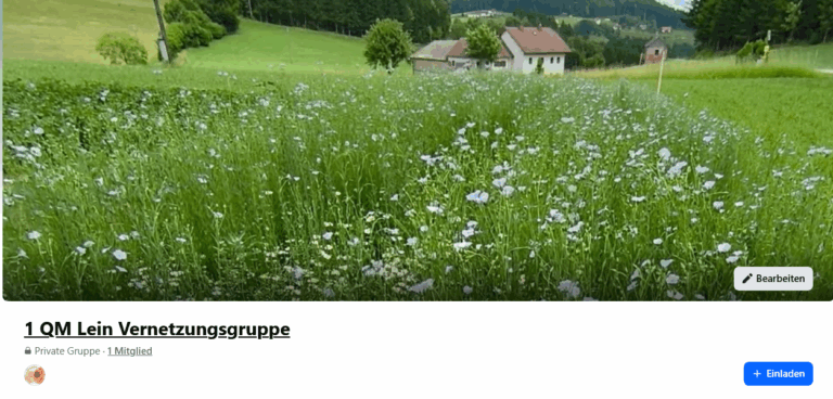 Screenshot 2025 07 07 at 13 21 06 1 qm lein vernetzungsgruppe facebook