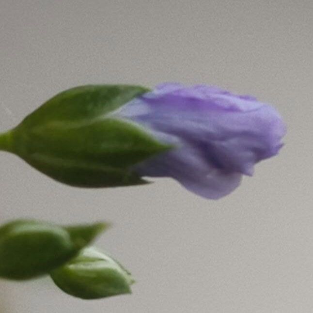 Photo 2025 07 07 12 45