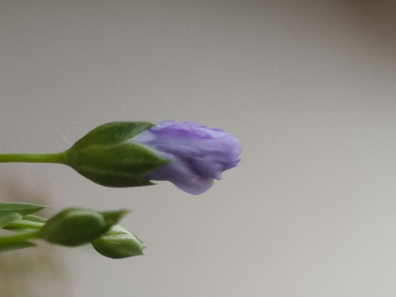 Photo 2025 07 07 12 45